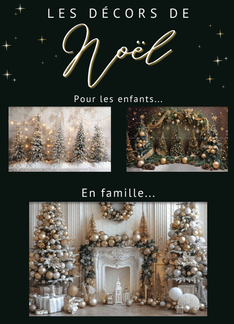 Mini séances NOËL 2024